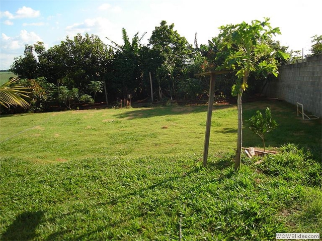 MINI CAMPO